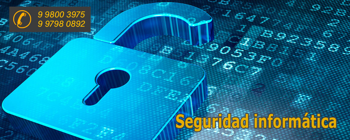 seguridad informática